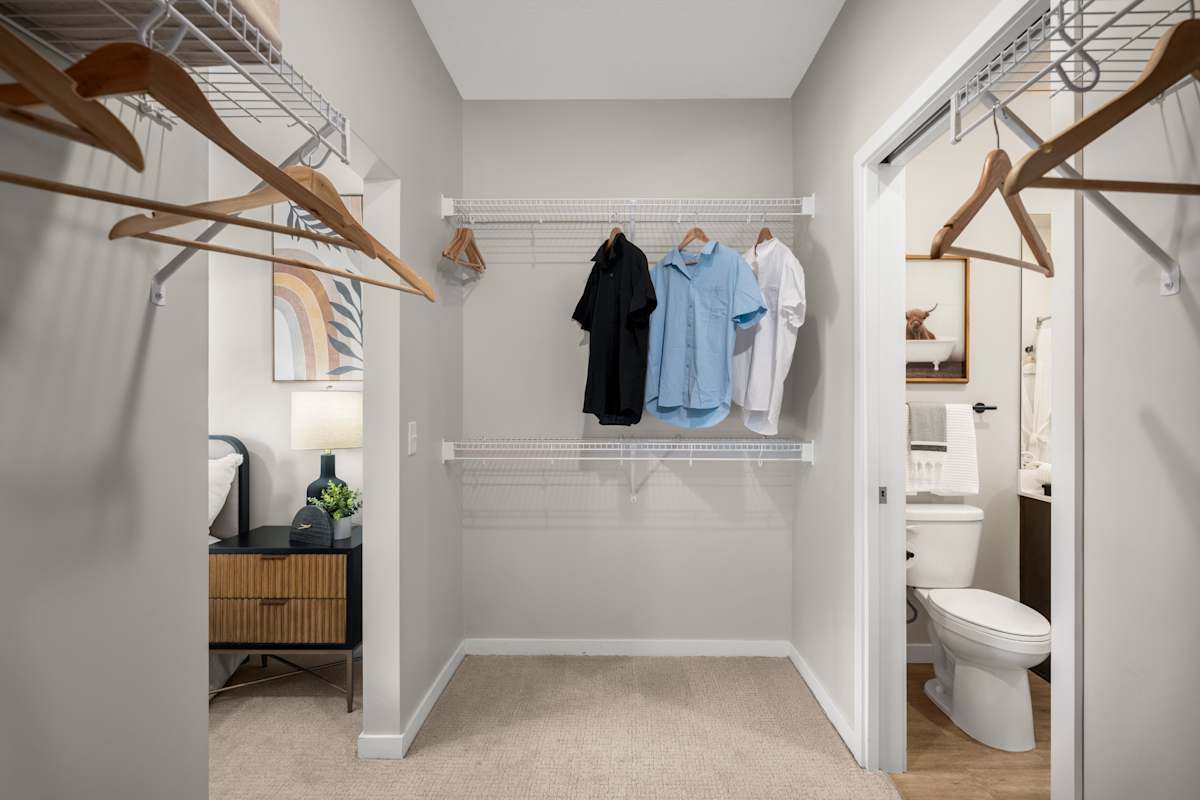 Lowa46 walk-in closet storage - Minneapolis, MN