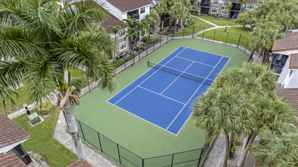 Alvista Hollywood tennis court surrounded by palm trees - Hollywood, FL