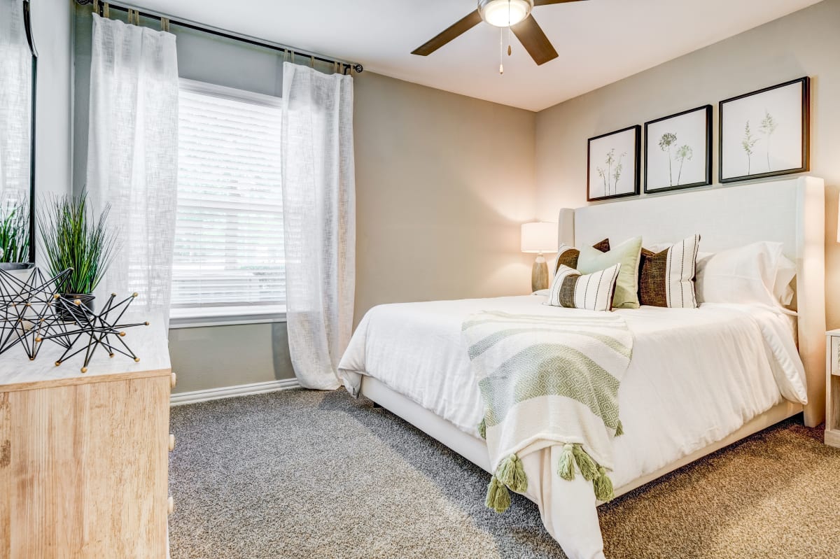 Primrose Oaks Sr Apts-Txa00000462 apartment photo