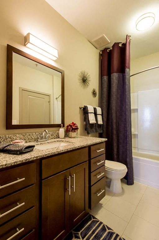 Greenhaven apartment bathroom - Franklin, TN
