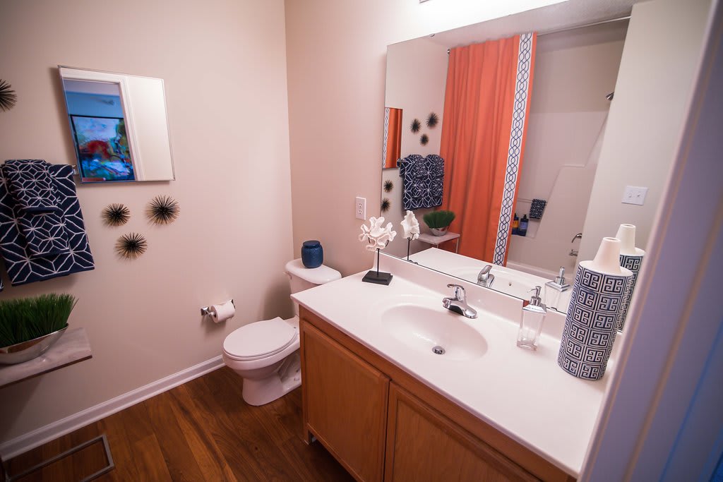 Legacy at Friendly Manor bathroom vanity and mirror - Greensboro, NC