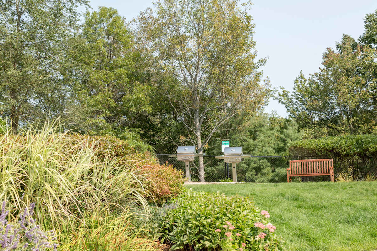 Canton Woods outdoor grilling area - Canton, MA