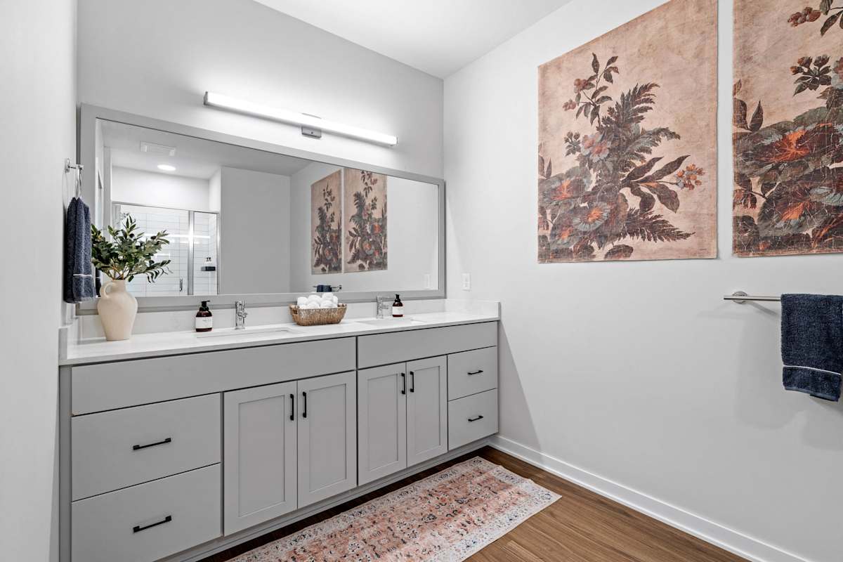 Corsa apartment bathroom - St. Louis Park, MN