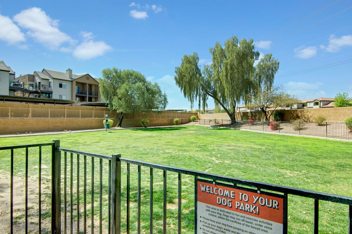Photo Gallery Pala Mesa Apartments in Mesa, AZ Weidner