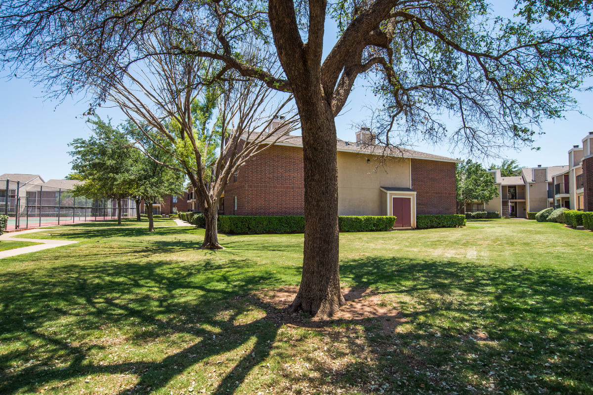 Wildflower Apartments Photo Gallery Apartments in Midland Weidner