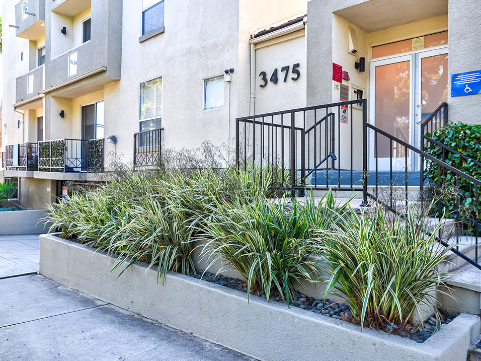 Photos and Video of Clarington Court in Los Angeles, CA