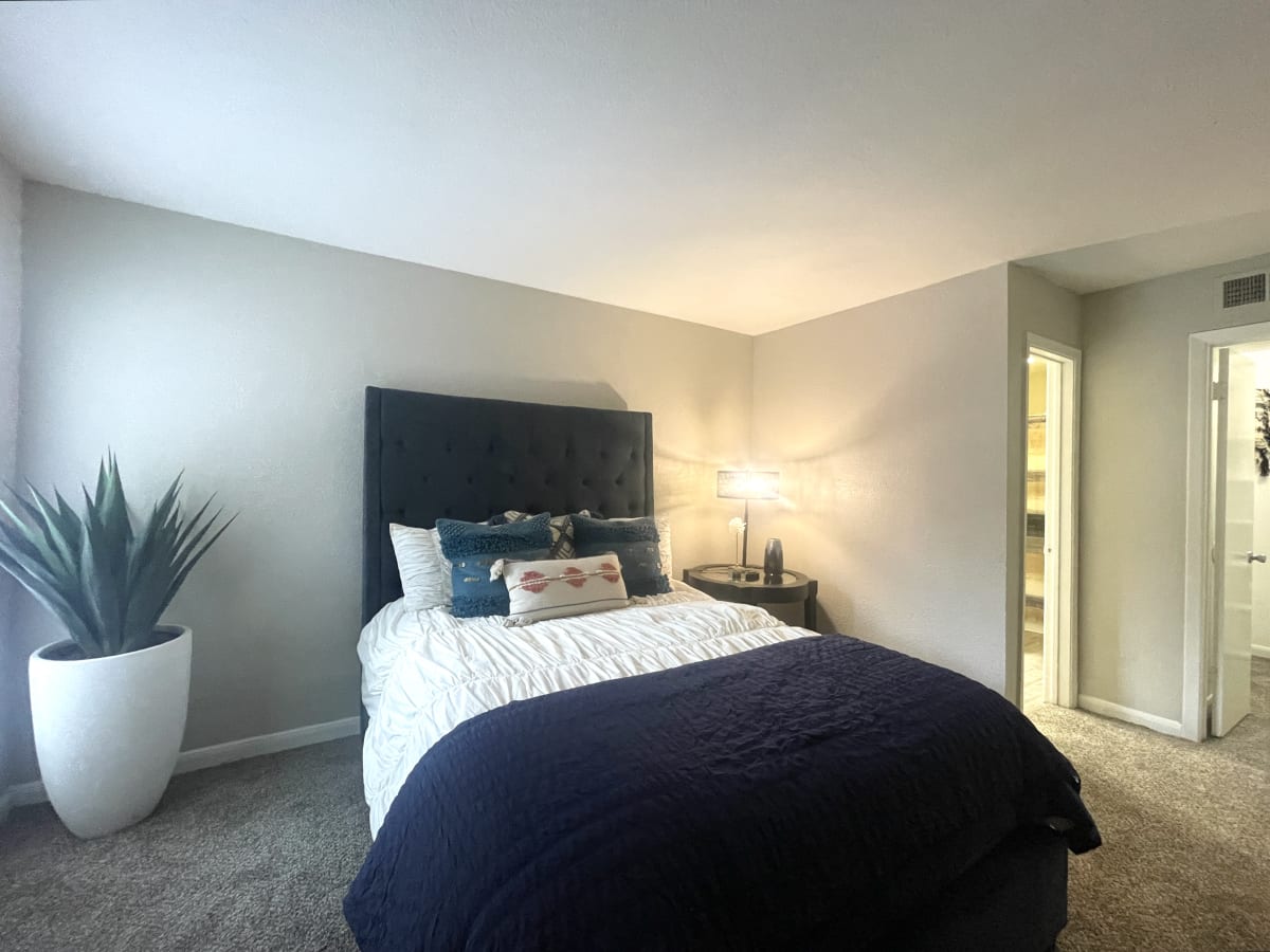 Apartments on Westheimer, Houston, TX The Aubrey Photos