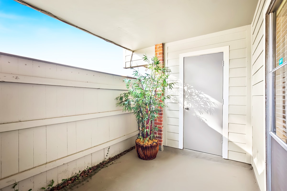 Photos and Video of Mark Twain I in River Ridge, LA