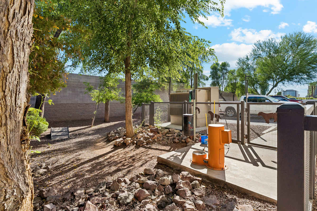 Enclosed dog exercise area at Biltmore at Camelback.