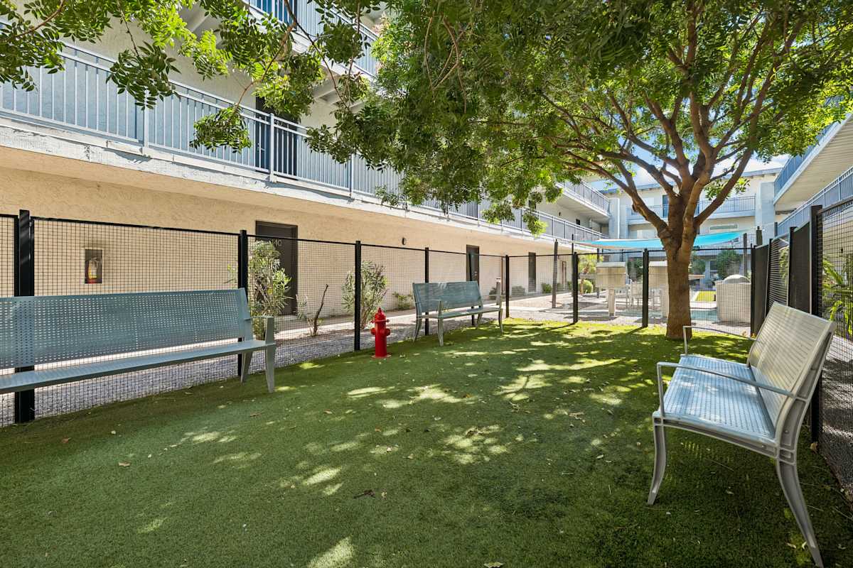 Shared outdoor space at Icon on Central.