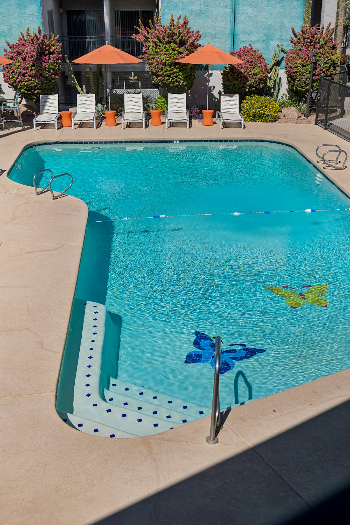Pool and poolside area at Icon on Central.