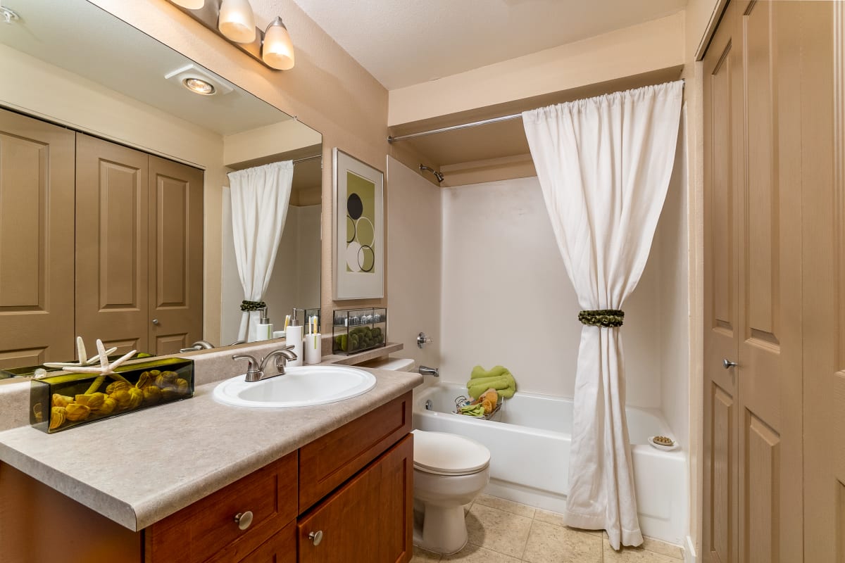 Photos and Video of BluWater in Everett, WA