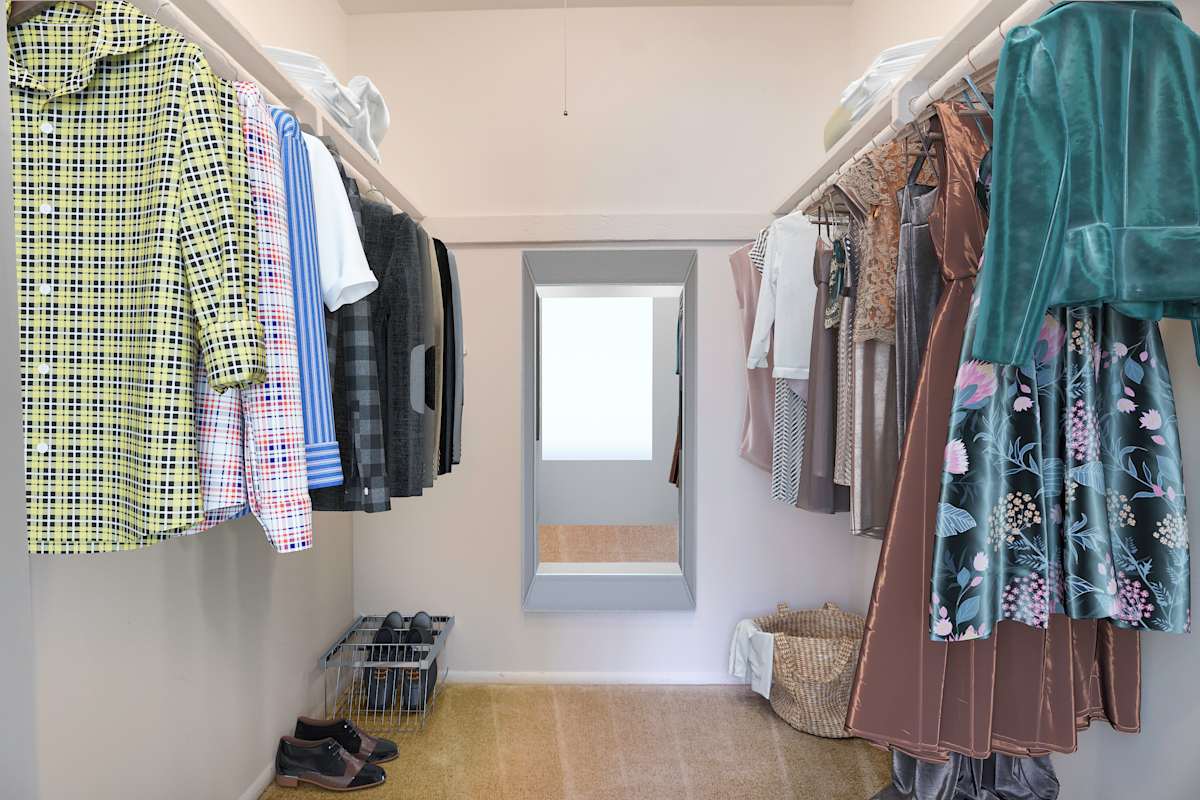 The District at Forestville walk-in closet - Forestville, MD