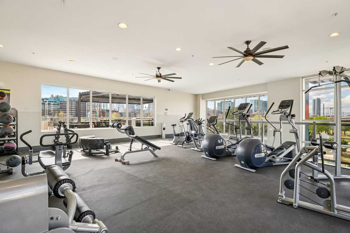 Westend gym equipment with skyline view - Denver, CO