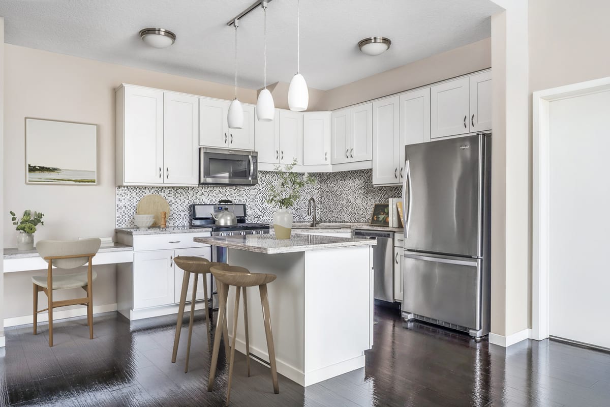 71 France modern kitchen - Edina, MN