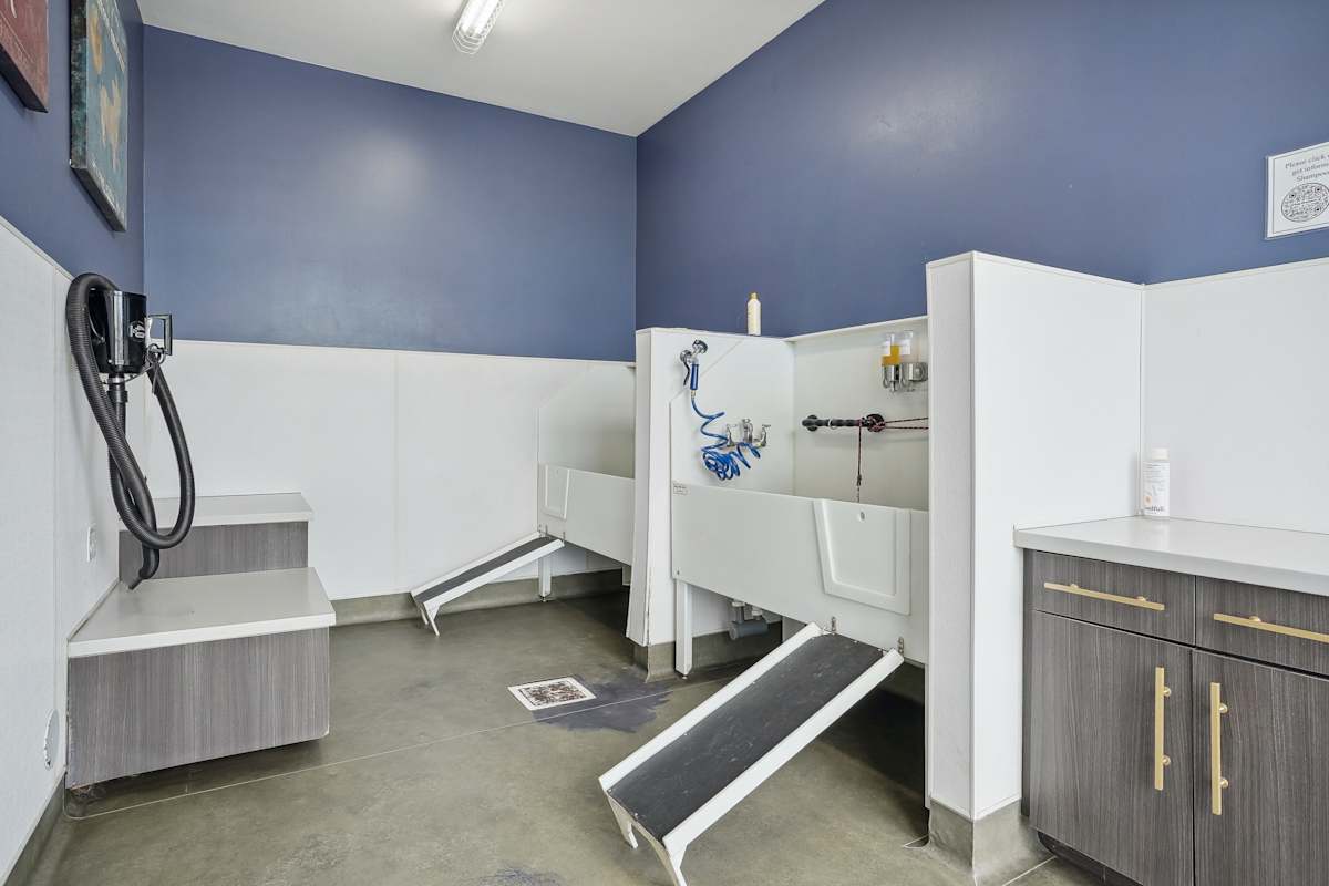 Westend pet washing station - Denver, CO