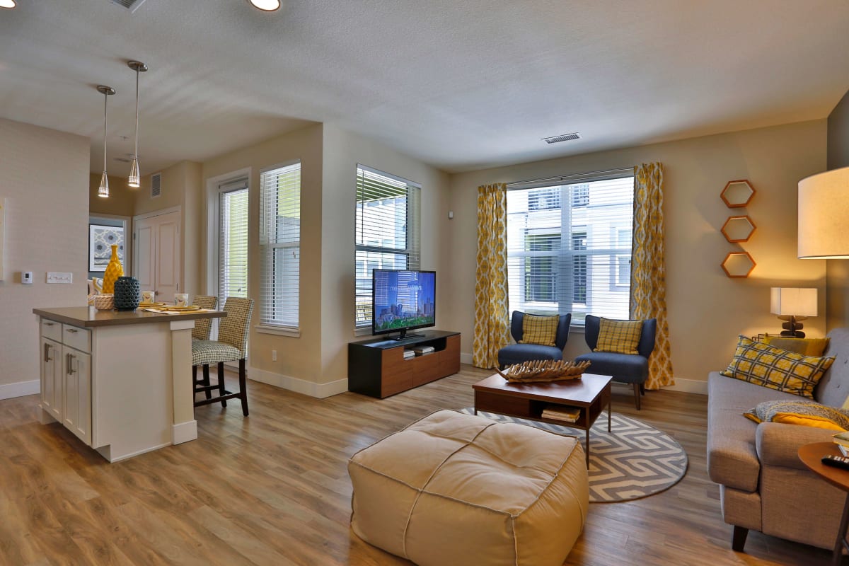 Westend spacious living room with large windows - Denver, CO