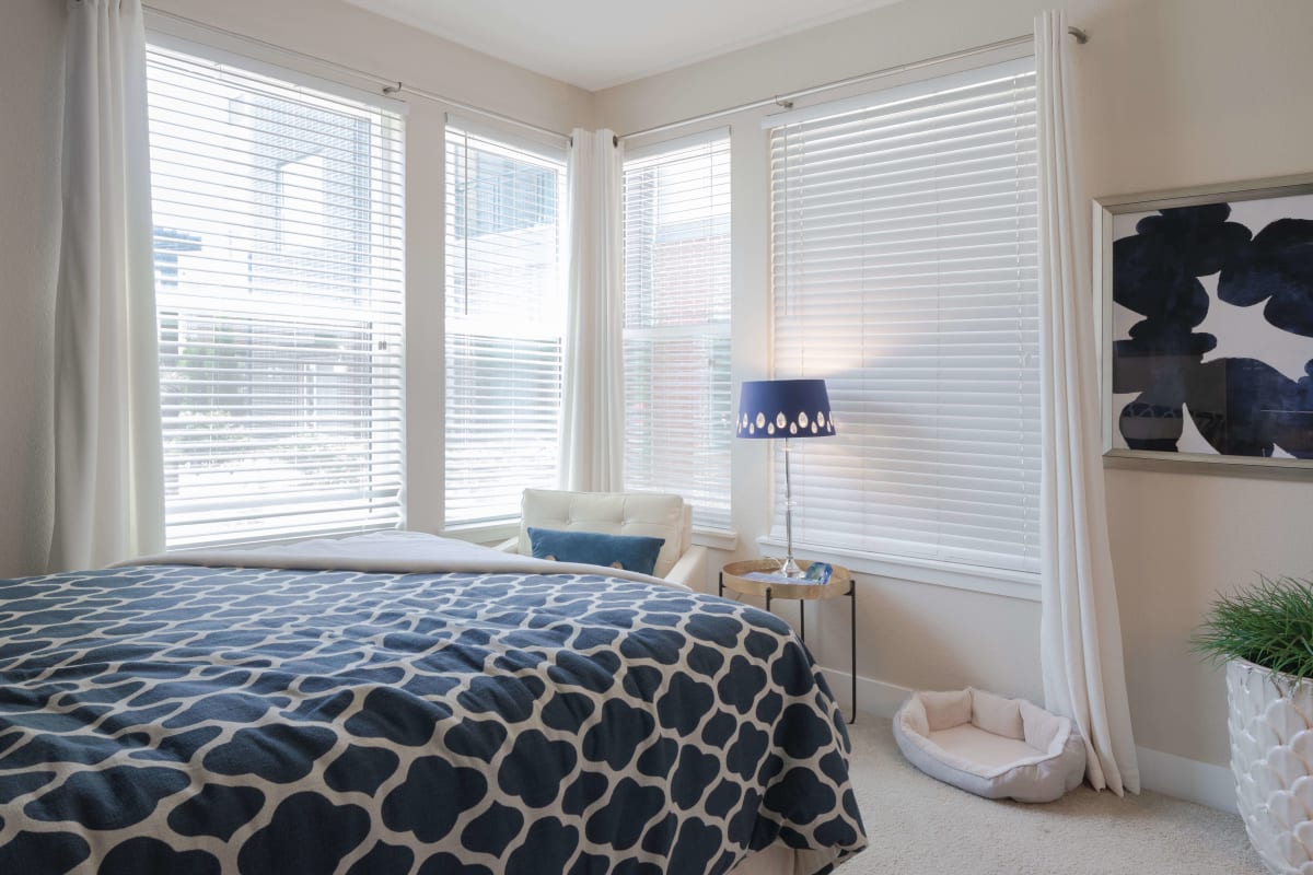 Westend bright bedroom with multiple windows - Denver, CO