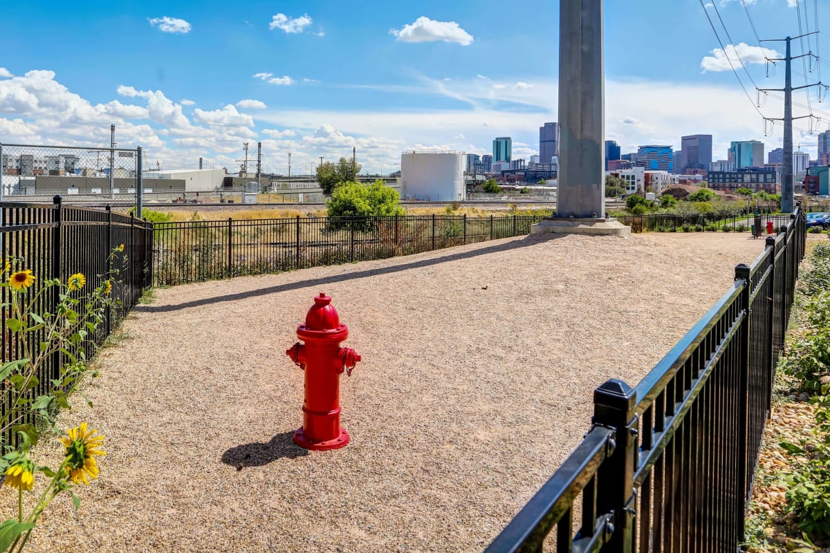 Westend dog park with open running space - Denver, CO