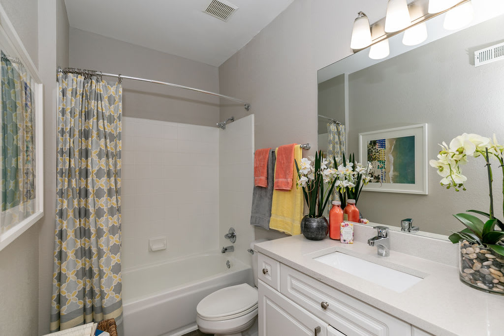 Apartments for Rent in Buckhead Photos Atlantic Buckhead