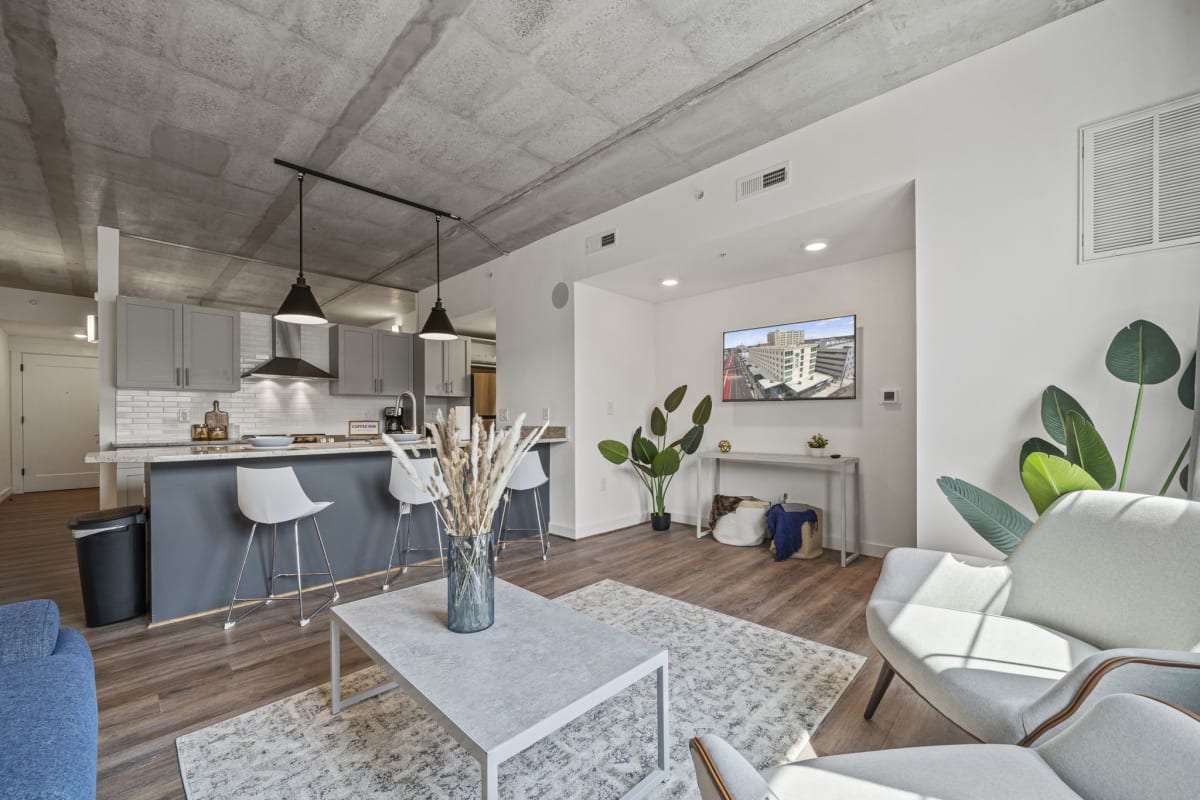 Luxury Apartments for Rent in Richmond, VA | The Icon | Photos