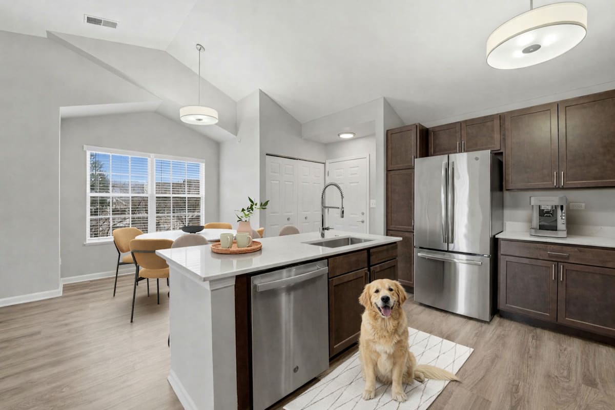 Dog inside an apartment home at Preserve at Cantera