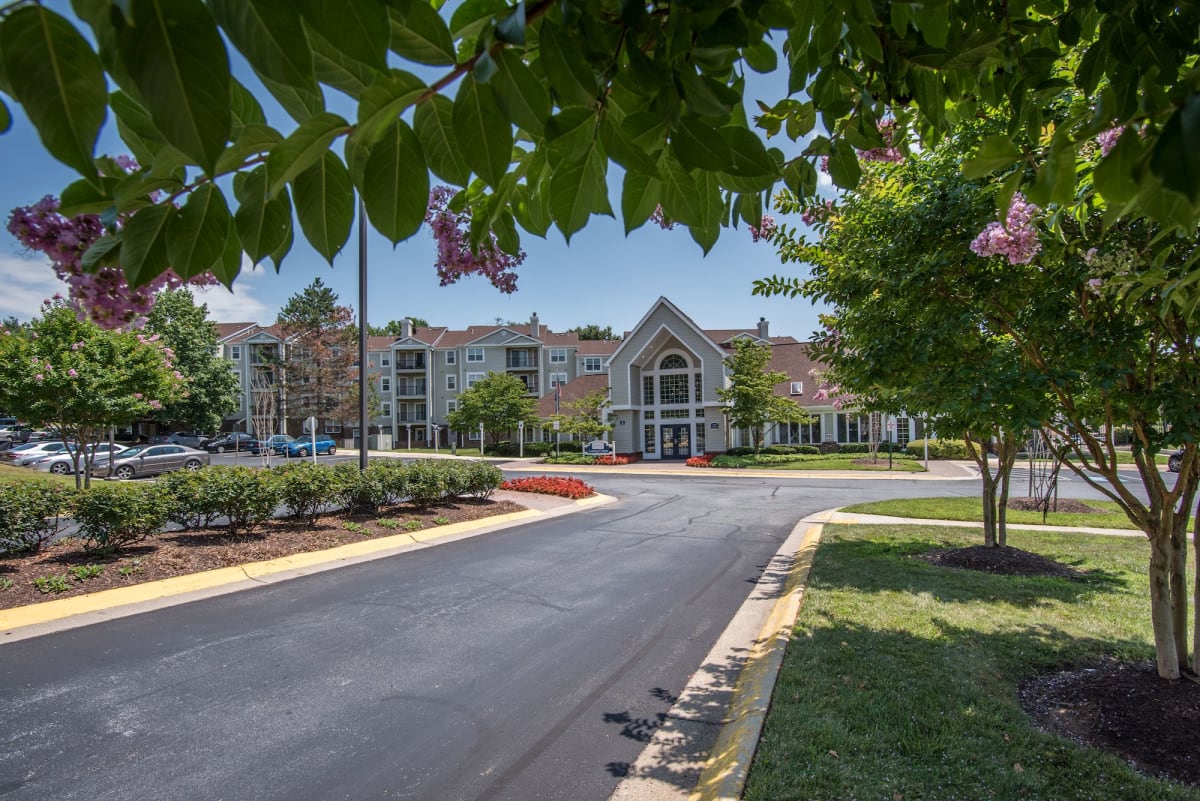 Apartments for Rent in Germantown MD Elme Germantown