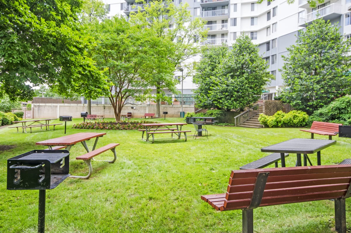 Apartments for Rent in McLean, VA The Ashby at McLean