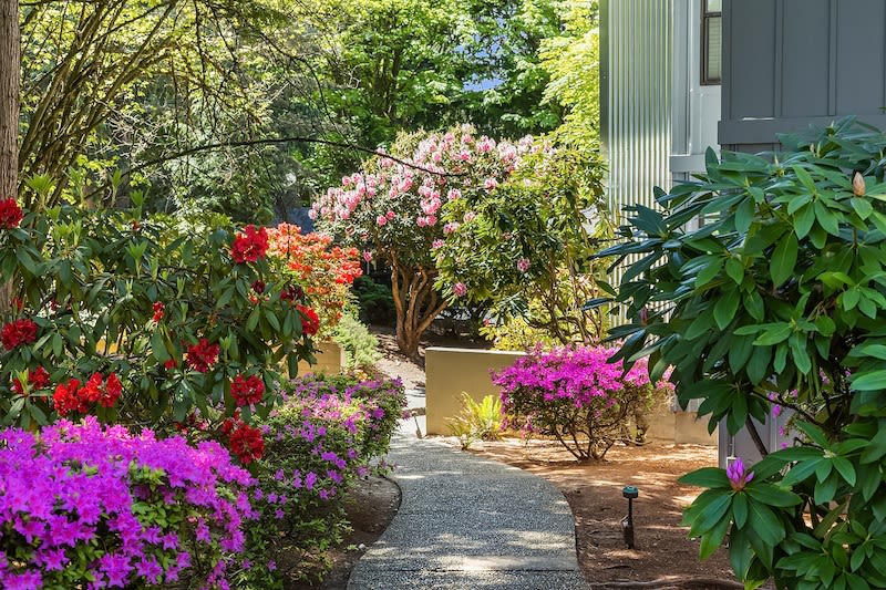 Photos and Video of Duet in Lynnwood, WA