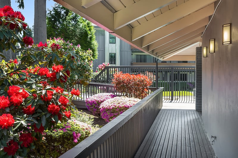 Photos and Video of Duet in Lynnwood, WA