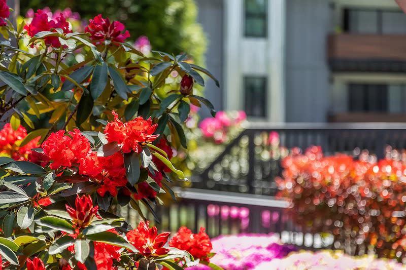 Photos and Video of Duet in Lynnwood, WA