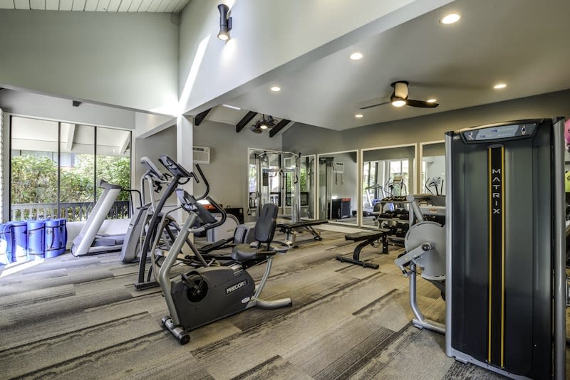 Photos and Video of Duet in Lynnwood, WA