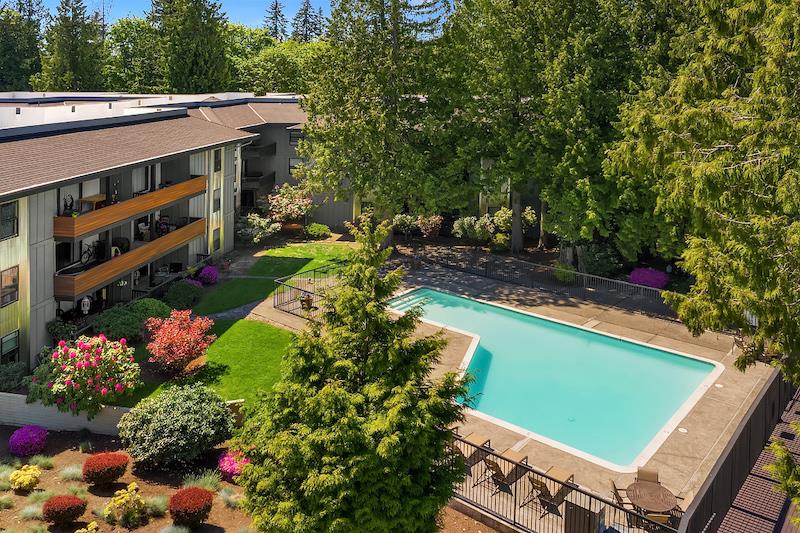 Photos and Video of Duet in Lynnwood, WA