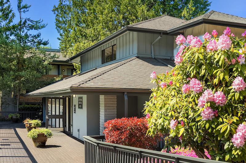 Photos and Video of Duet in Lynnwood, WA