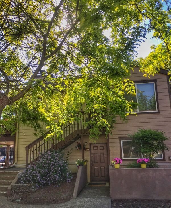 Photos and Video of Stratford Apartments in Beaverton, OR