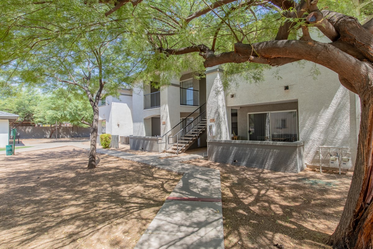 Courtyard and grounds at Agave Court.