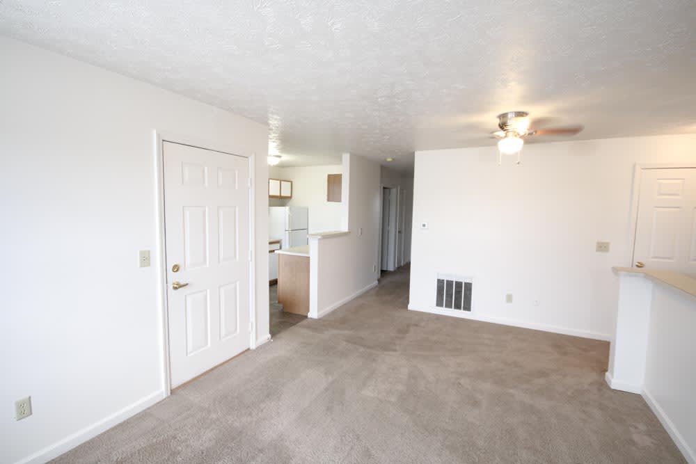 Photos and Video of Cameron Court