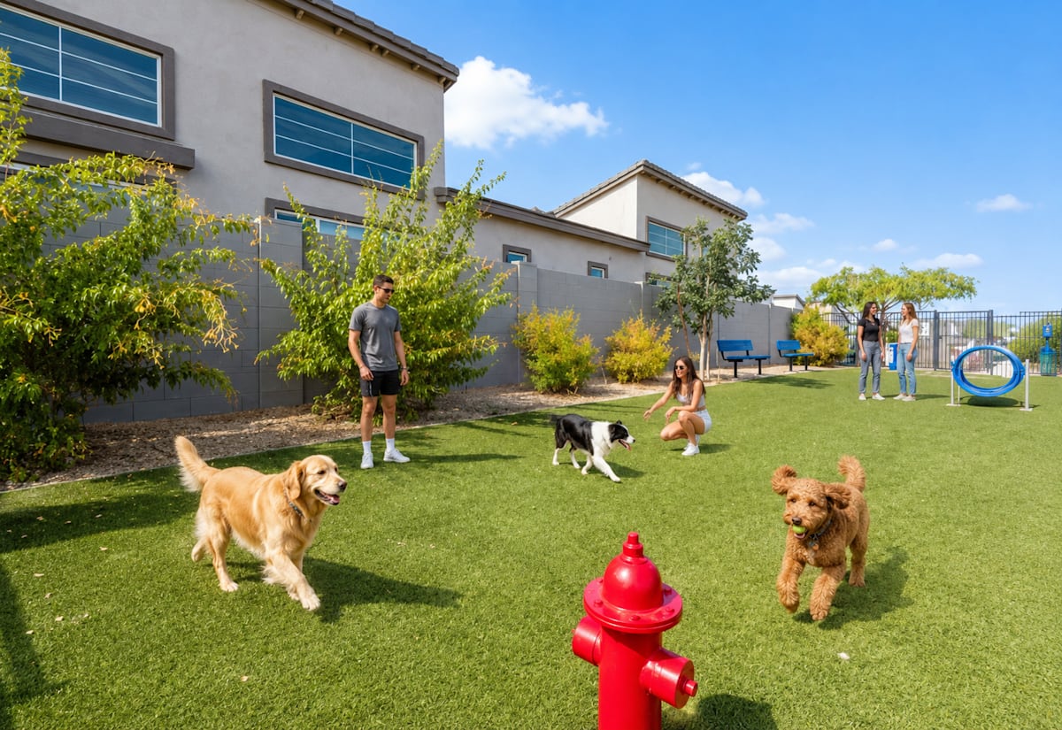 Enclosed dog exercise area at Baseline on 16th.