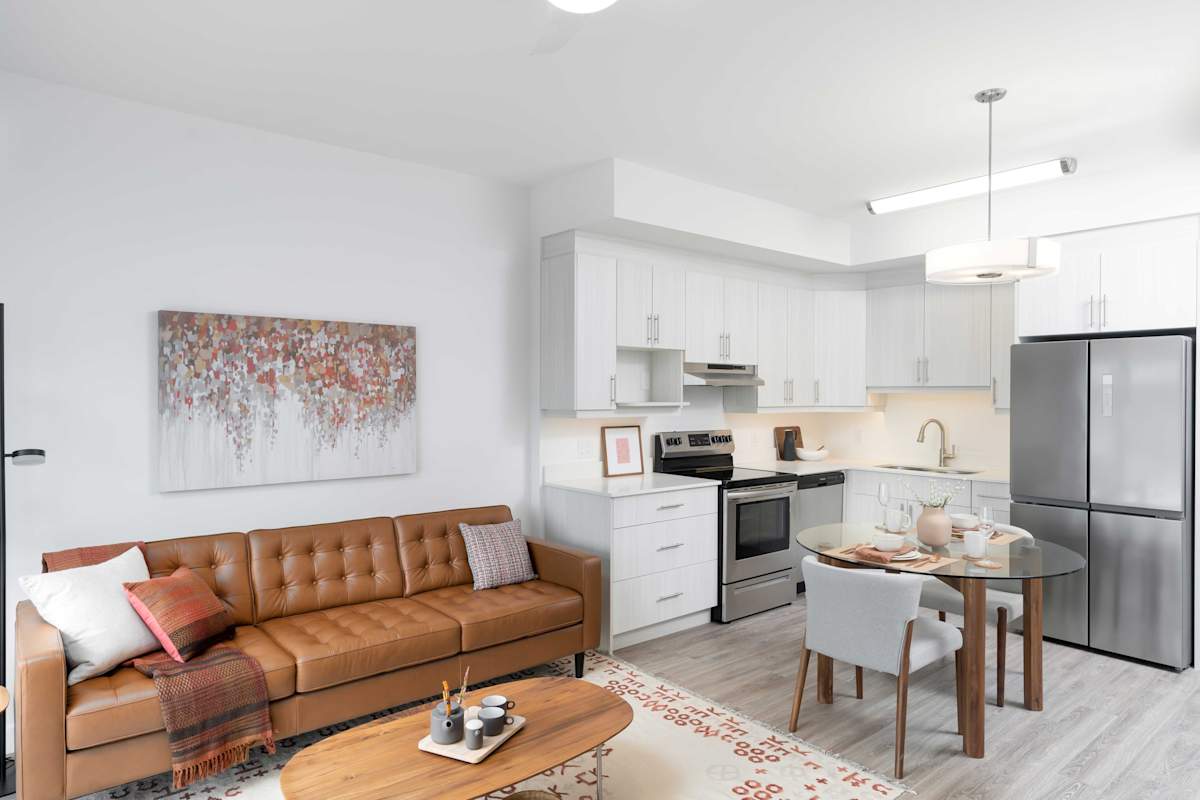 PETROLZ「Renaissance」 Petrolz – Renaissance – CD (Album), 2015 [r11833447] | Discogs