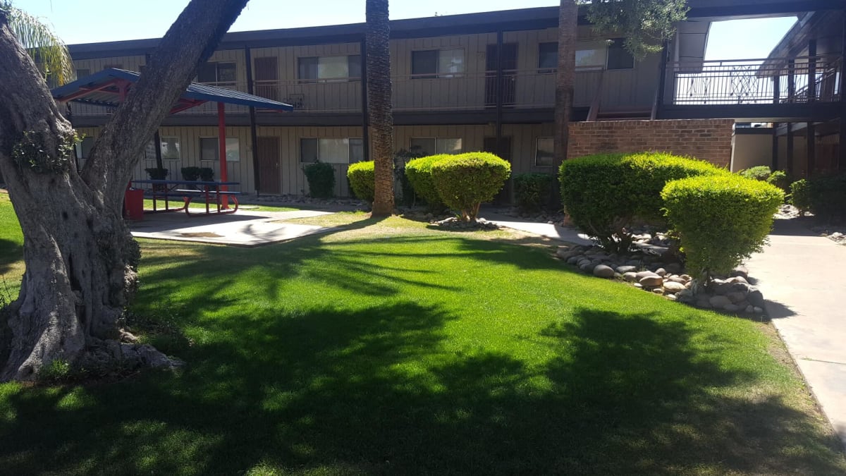 Shared outdoor space at Camelback Properties.