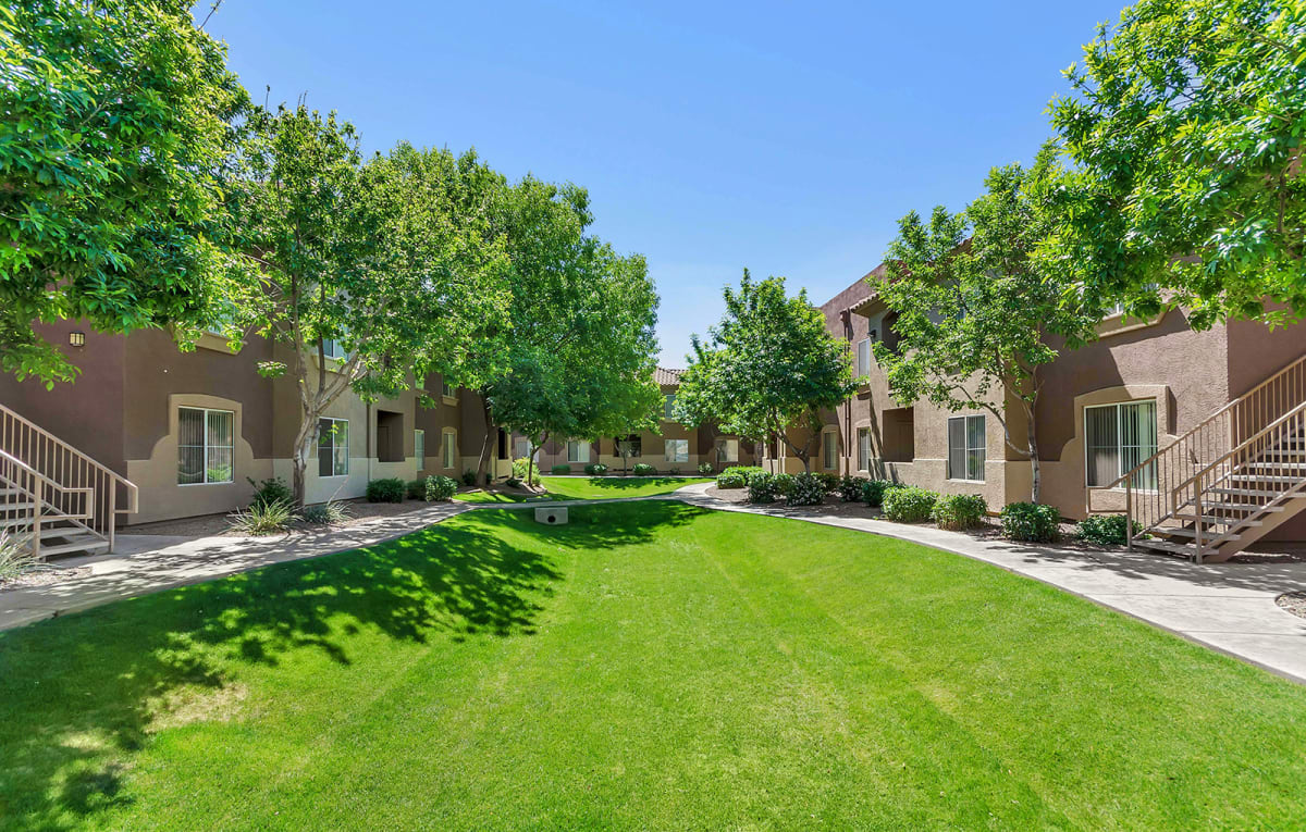 Landscaped courtyard between apartment buildings.