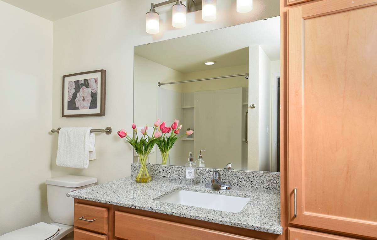 Suncrest Vista at Canyon Trails 55+ Apartments bathroom - Goodyear, AZ