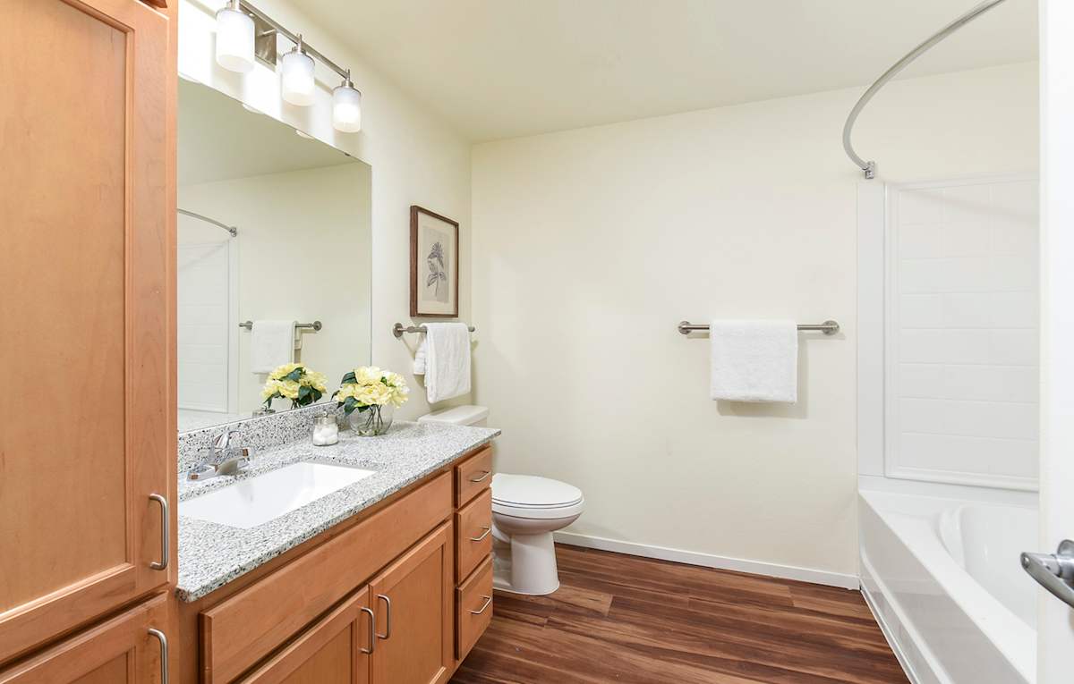 Suncrest Vista at Canyon Trails 55+ Apartments bathroom interior - Goodyear, AZ