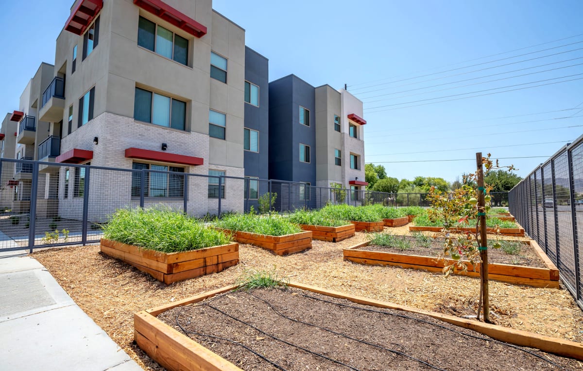 Raised community garden beds at Vista Ridge Apartments.