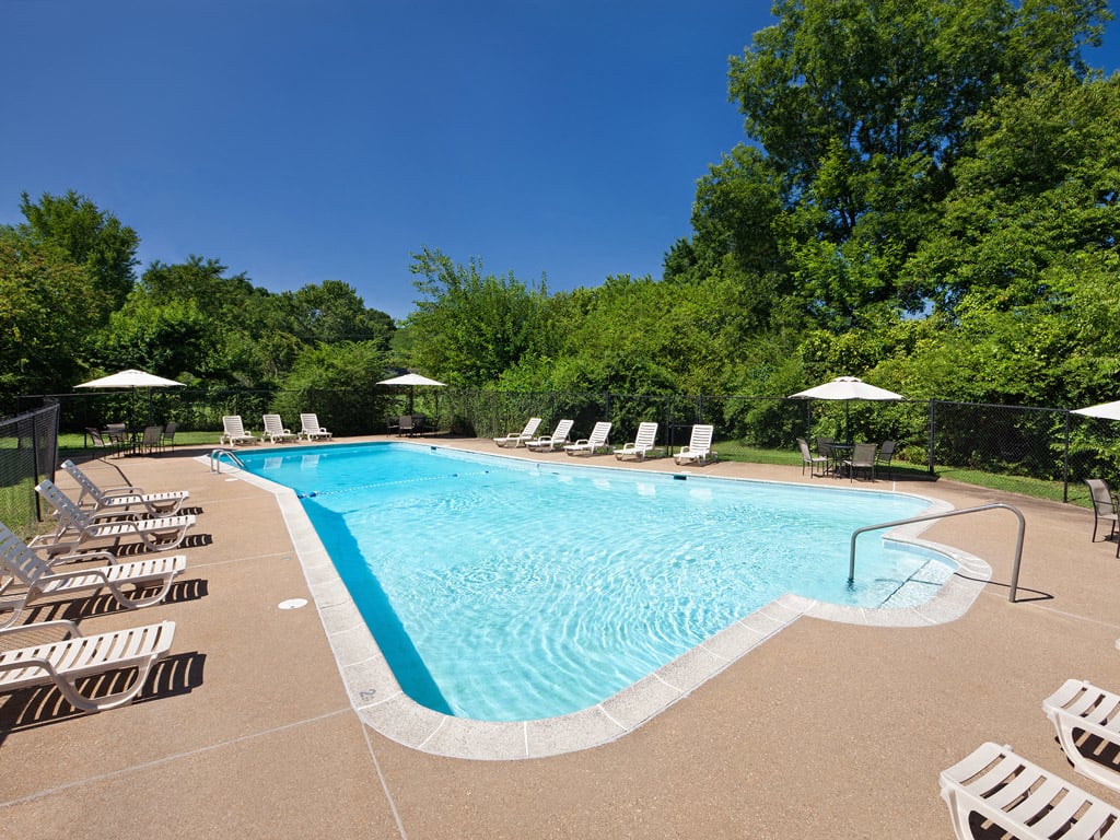 Photos and Video of Rock Creek in Richmond, VA