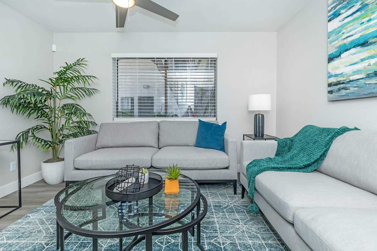 Furnished apartment living area shown — representative home at Solara.