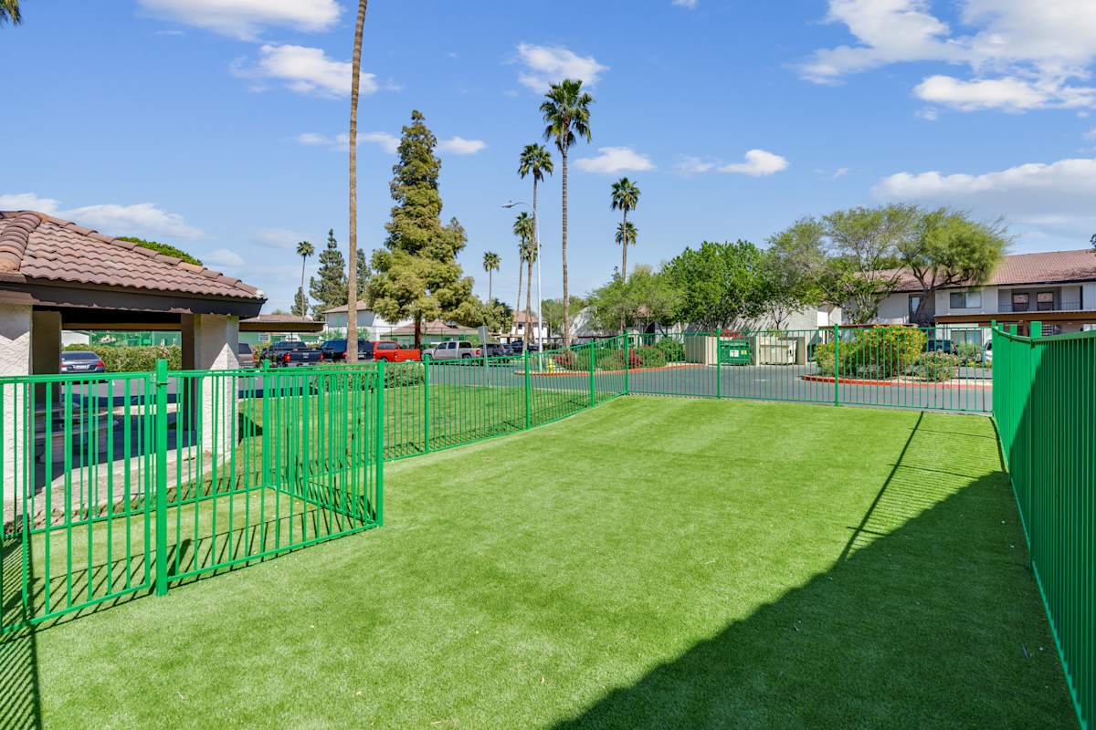 Soccer field at Solara.