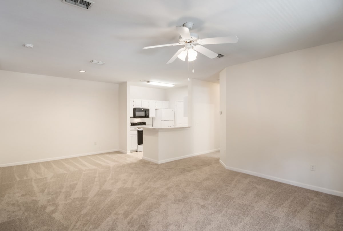 Photos and Video of Angel Cove in Pensacola, FL