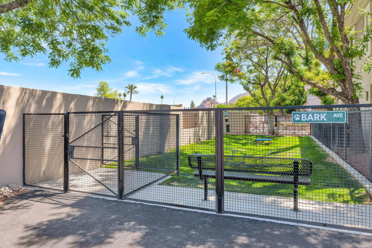 Enclosed dog exercise area at Townhomes at Biltmore.