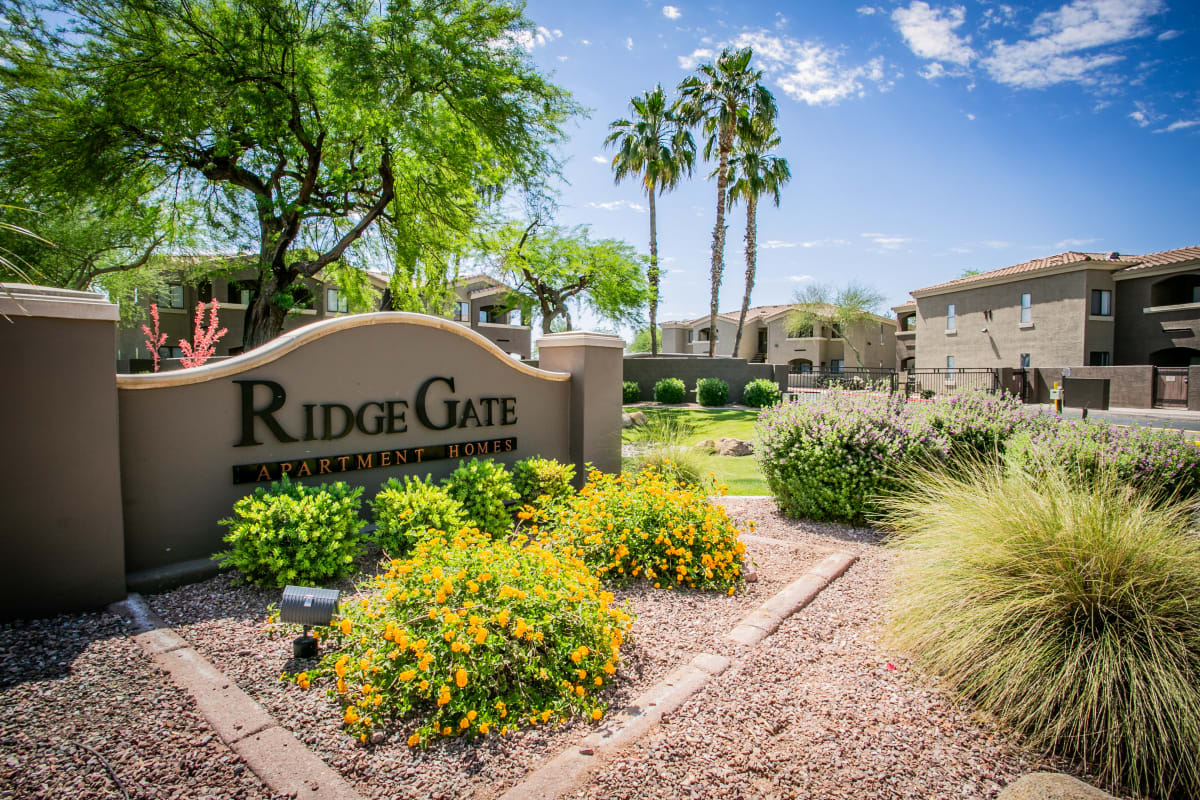 Building exterior at RidgeGate Apartments.
